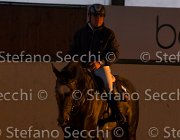 CAletto della Verdina TosTour2013- S5 3170 : Arezzo, Arezzo Equestrian Centre, Caletto della Verdina, Cavalli d'Italia, Toscana Tour 2013, foto di Stefano Secchi ©